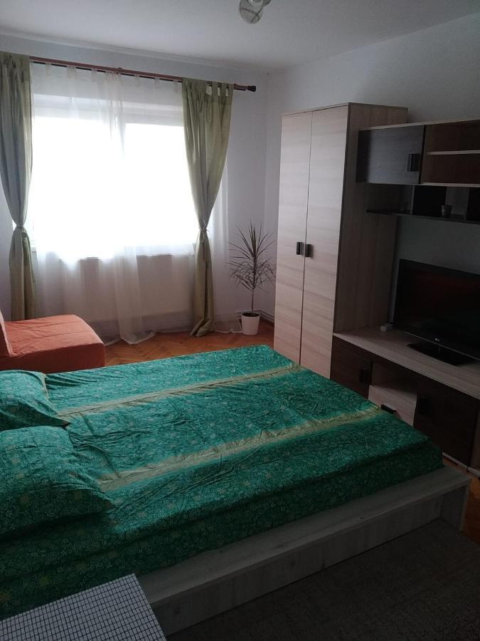 Apartament Erik Lägenhet Sibiu Exteriör bild